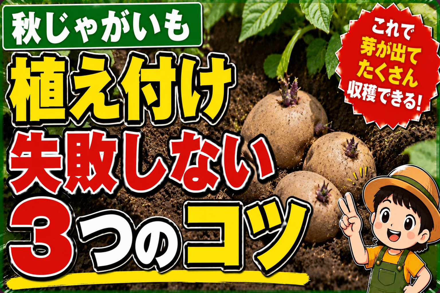 秋じゃがいもの植え付けは春と同じじゃダメ！失敗しない3つのコツ