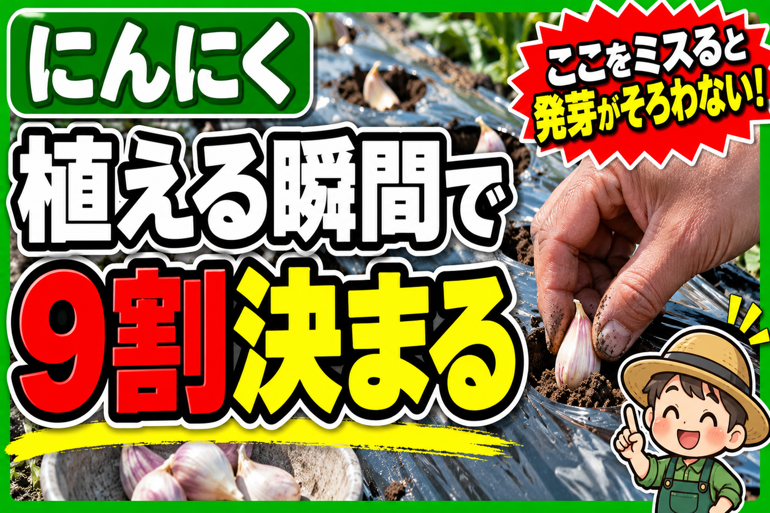 にんにくは植える瞬間で9割決まります｜失敗しない3つの鉄則