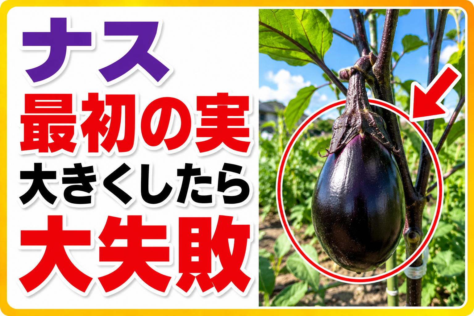 ナスに最初の実がついたら必ずやってほしい3つの作業｜一番果・三本仕立て・追肥の正解