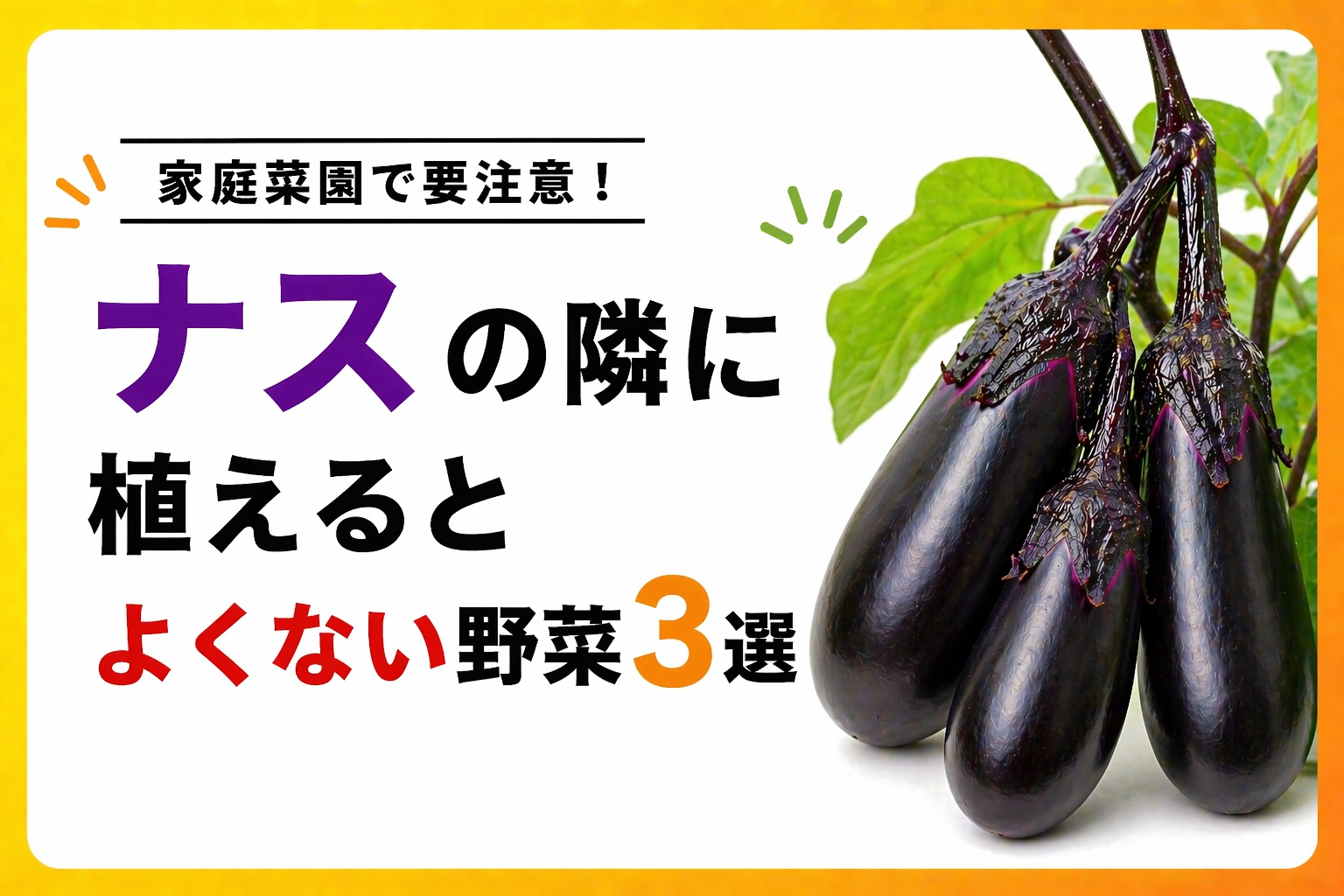 ナスの隣に植えるとよくない野菜3選｜ジャガイモ・トウモロコシ・アブラナ科がNGな理由