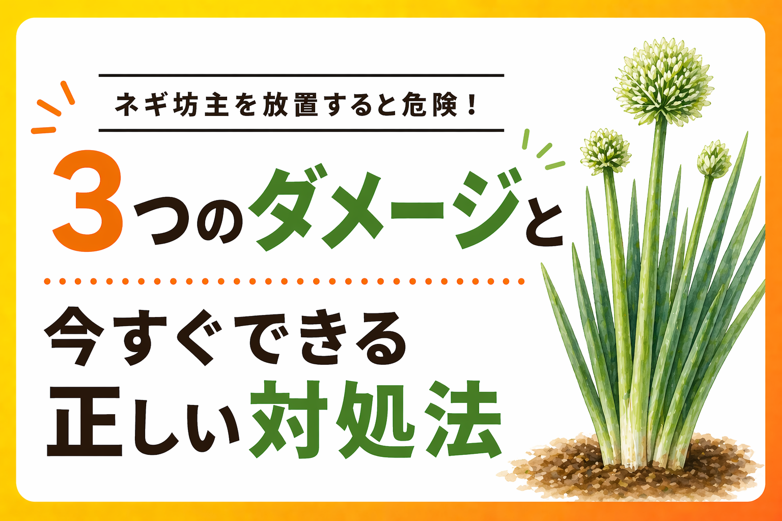 ネギ坊主を放置すると危険！3つのダメージと今すぐできる正しい対処法