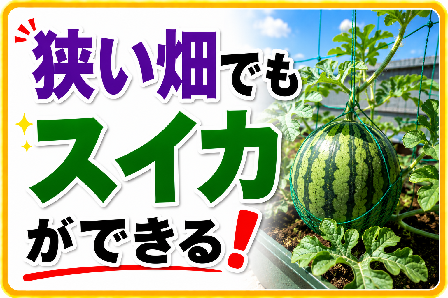 狭い畑でもスイカができる！2〜3平方メートルで育てる省スペース栽培の正解