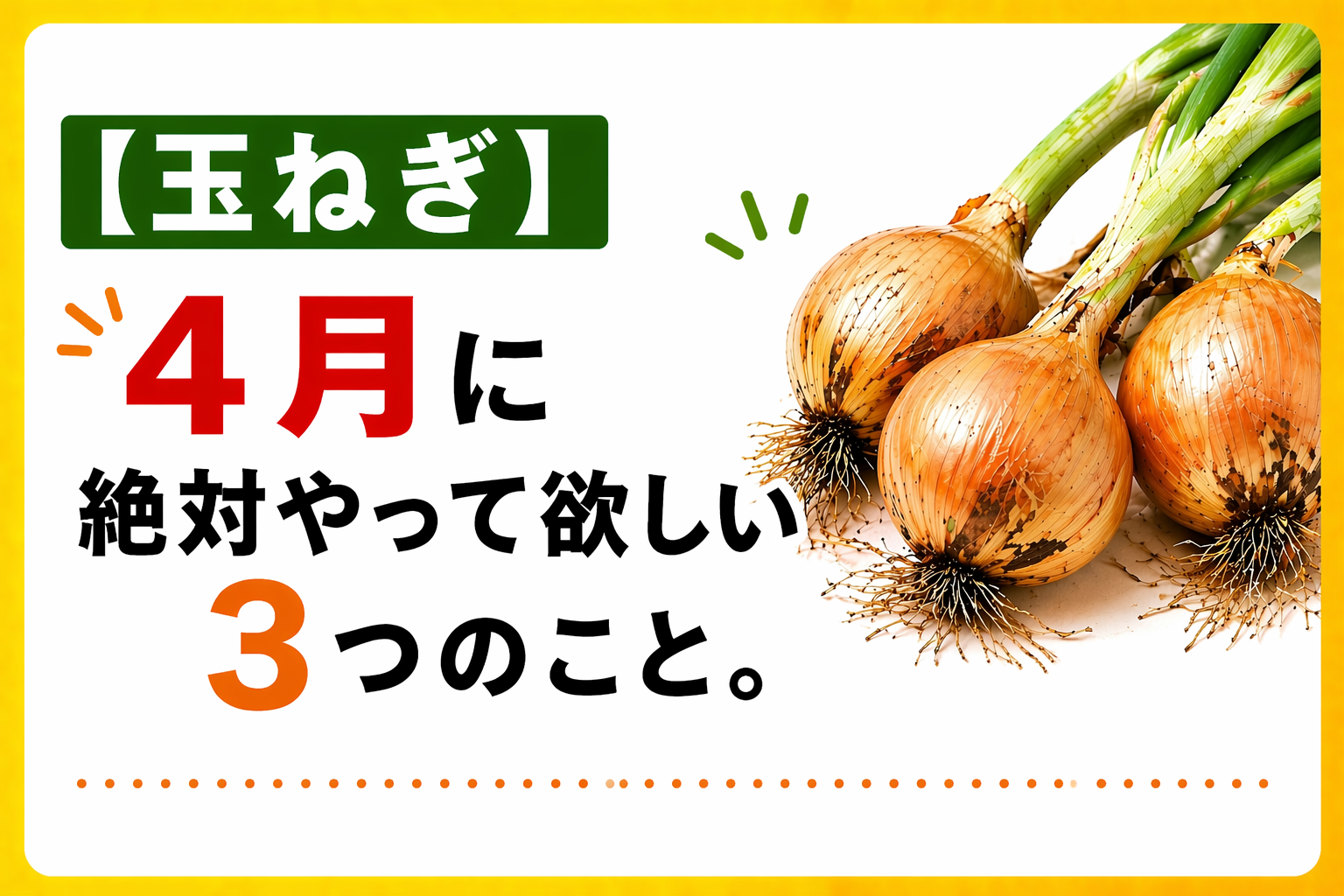 【玉ねぎ】4月に絶対やって欲しい3つのこと｜止め肥・べと病・ネギ坊主対策