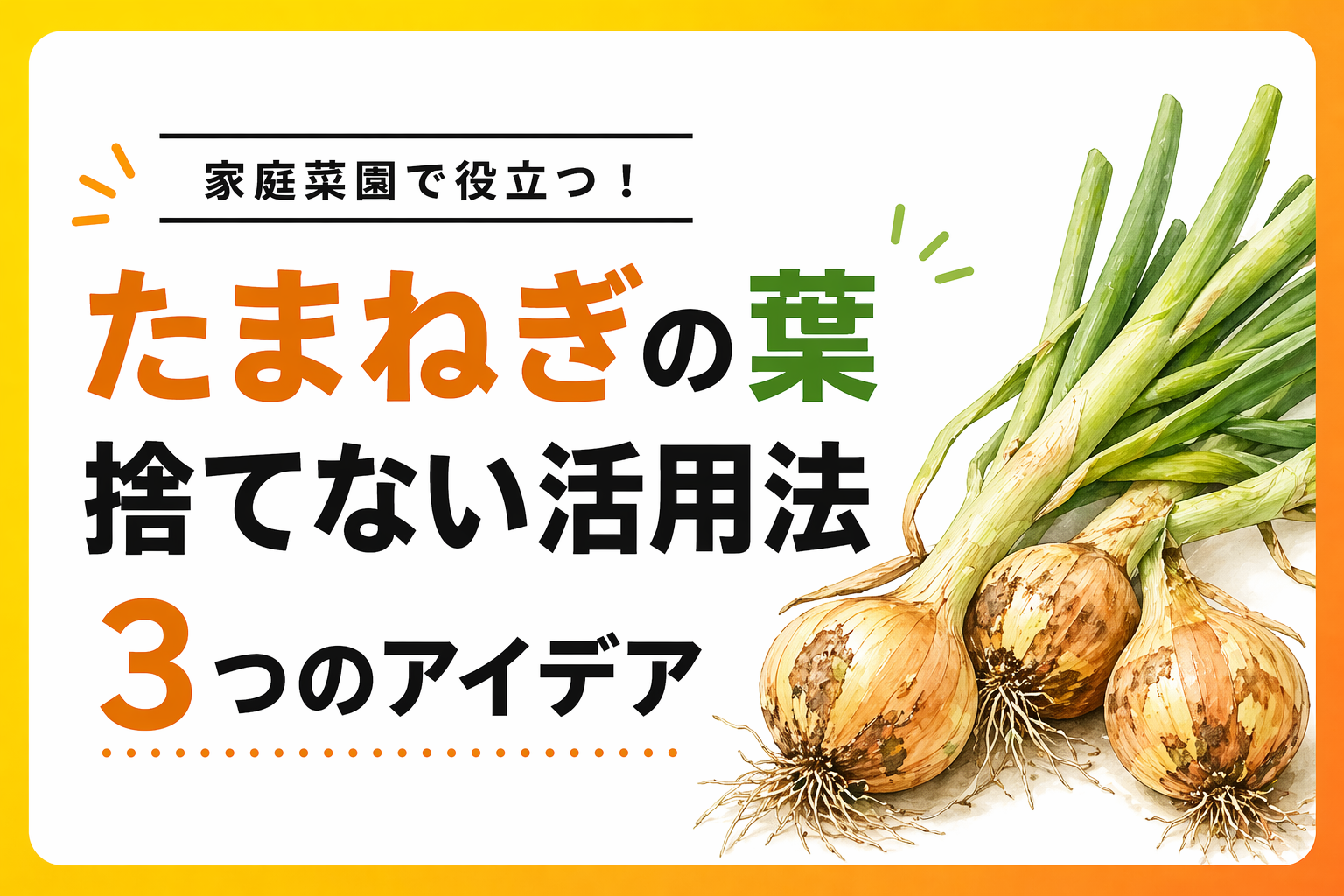 えっ、たまねぎの葉って捨てちゃダメだったの？3つの活用法