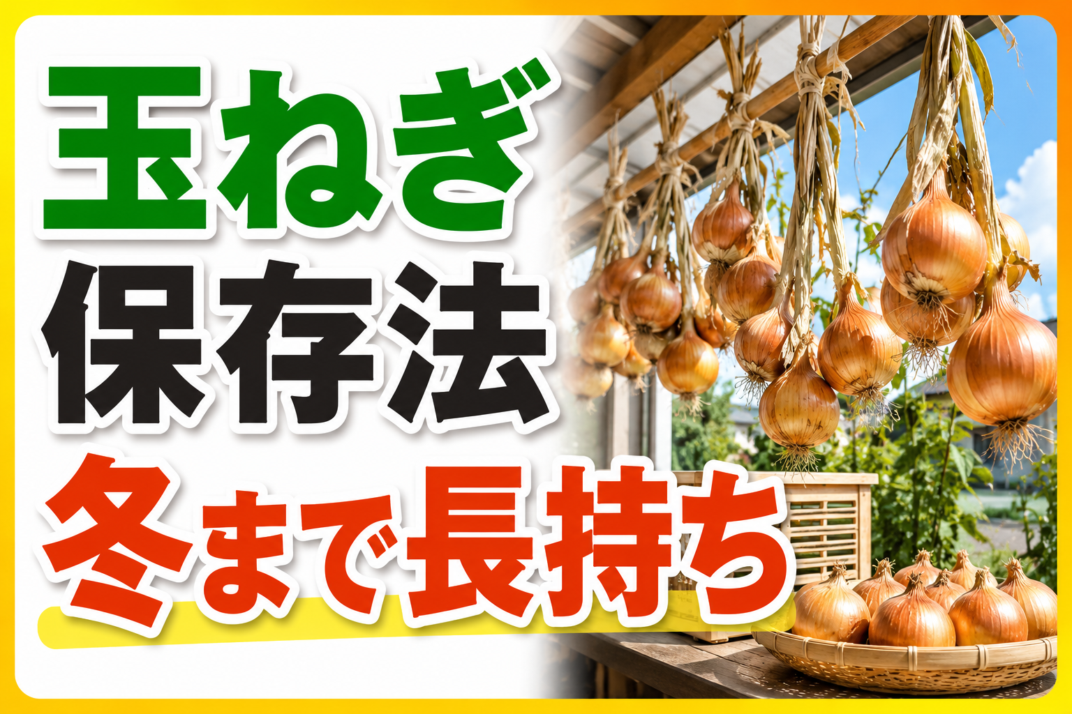 玉ねぎを半年もたせる最強の保存術｜農家直伝の収穫・干し方・保存の3つのコツ